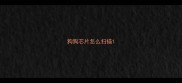 狗狗芯片怎么扫描