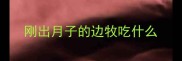 刚出月子的边牧吃什么