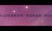 对比哈士奇vs边牧谁更好养附选狗指南附训练护理全攻略