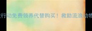 北京宠物领养公益行动免费领养代替购买救助流浪动物传递温暖