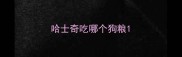 哈士奇吃哪个狗粮