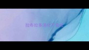 拉布拉多消化不良吐