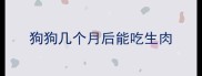 狗狗几个月后能吃生肉