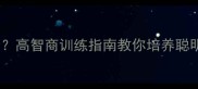 边牧太聪明了太会算计高智商训练指南教你培养聪明又懂事的边境牧羊犬
