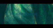拉布拉多犬我想要