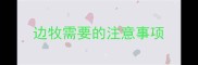 边牧需要的注意事项