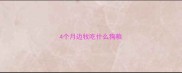 4个月边牧吃什么狗粮