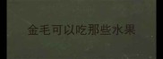 金毛可以吃那些水果