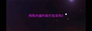 狗狗犬瘟时能打疫苗吗