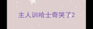 主人训哈士奇哭了