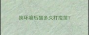 换环境后猫多久打疫苗