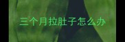 三个月拉肚子怎么办