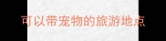 可以带宠物的旅游地点