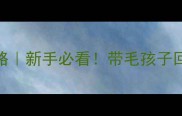 宠物店领养全攻略新手必看带毛孩子回家的5大注意事项