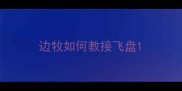 边牧如何教接飞盘