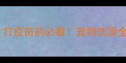 狗狗没打疫苗能洗澡吗打疫苗前必看宠物洗澡全攻略附疫苗时间表