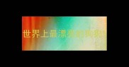 世界上最漂亮的狗狗