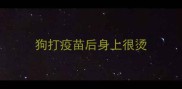 狗打疫苗后身上很烫