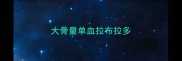 大骨量单血拉布拉多