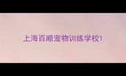 上海百顺宠物训练学校