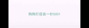 狗狗打疫苗一针500