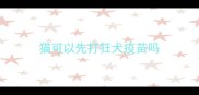 猫可以先打狂犬疫苗吗