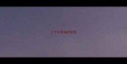 三个月泰迪的智商