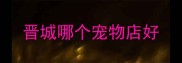 晋城哪个宠物店好