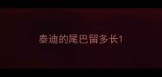 泰迪的尾巴留多长