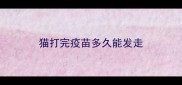 猫打完疫苗多久能发走