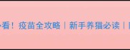 猫咪两岁必看疫苗全攻略新手养猫必读附疫苗时间表