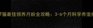 暹罗猫最佳领养月龄全攻略3-6个月科学养宠指南