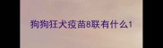 狗狗狂犬疫苗8联有什么