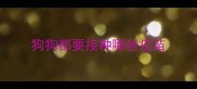 狗狗都要接种哪些疫苗
