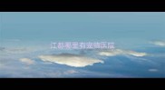 江都哪里有宠物医院