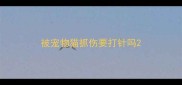 被宠物猫抓伤要打针吗