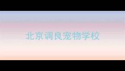 北京调良宠物学校