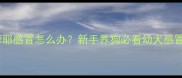 两个月大萨摩耶感冒怎么办新手养狗必看幼犬感冒护理全攻略