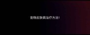 宠物皮肤病治疗方法