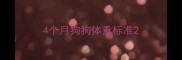 4个月狗狗体重标准