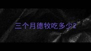 三个月德牧吃多少