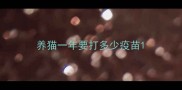 养猫一年要打多少疫苗