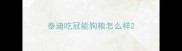 泰迪吃冠能狗粮怎么样