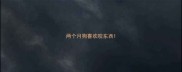 两个月狗喜欢咬东西