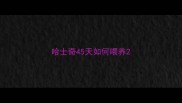 哈士奇45天如何喂养