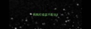 狗狗打疫苗不配合