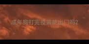 成年狗打完疫苗能出门吗