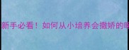 金毛养护全攻略新手必看如何从小培养会撒娇的暖心小棉袄