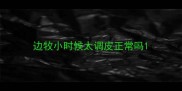 边牧小时候太调皮正常吗