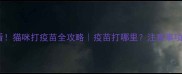 新手必看猫咪打疫苗全攻略疫苗打哪里注意事项大公开
